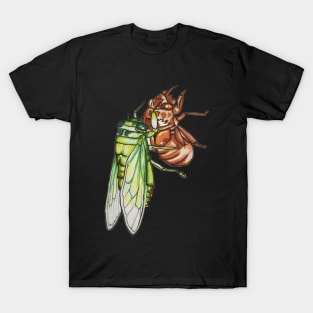 Cicada Emerging T-Shirt